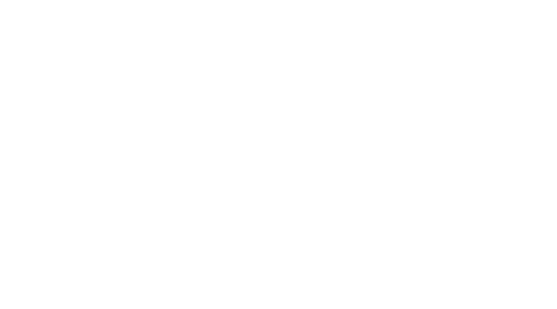 Logotipo oficial — The Southern Birmingham